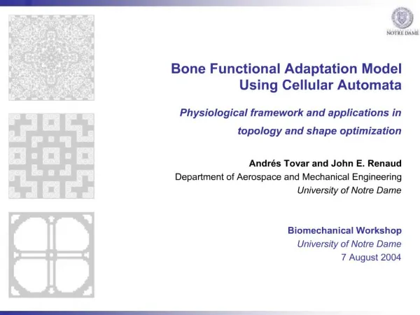 Bone Functional Adaptation Model Using Cellular Automata Physiological framework and applications in topology and sh