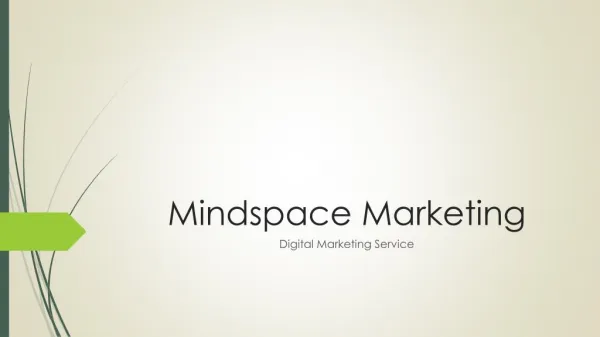 Overview Of Digital Maketing Services in Dubai