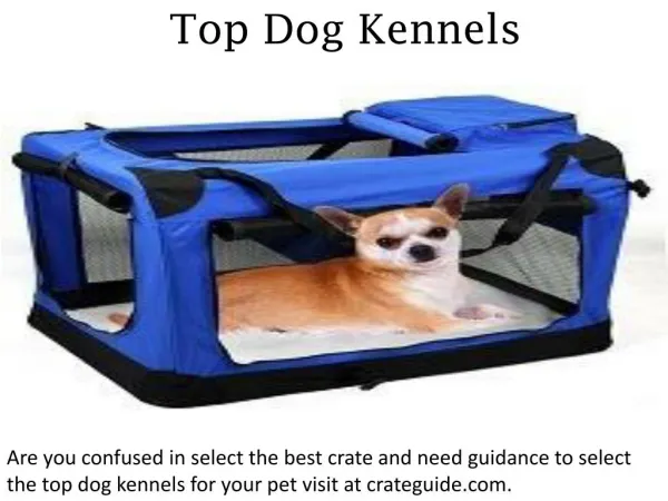 Top Dog Kennels - crateguide.com
