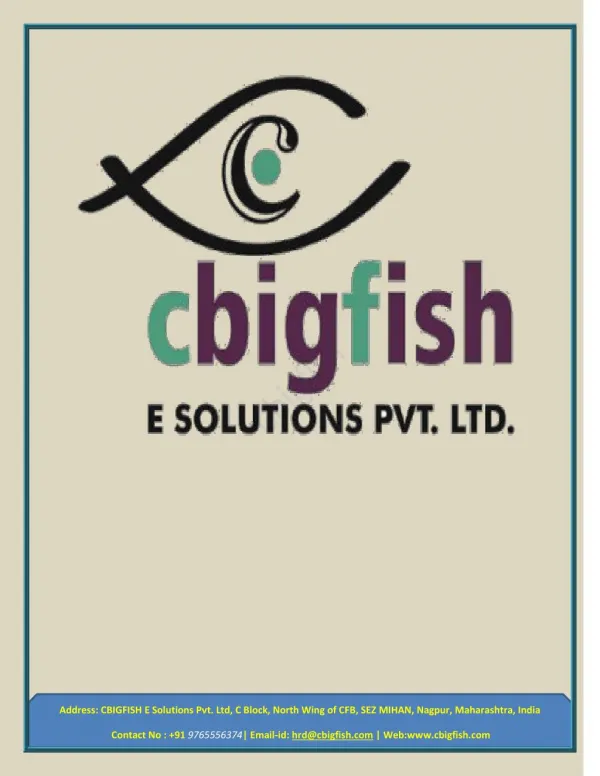 Cbigfish E-Solutions - Software Development Company, Mobile App & Web Development