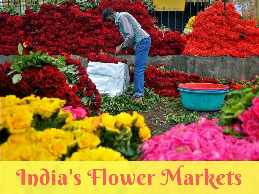 india s blossom markets