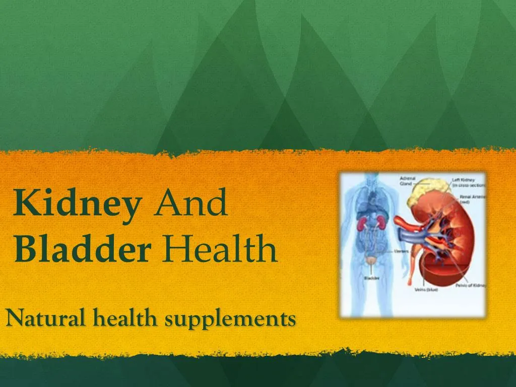 kidney and bladder health