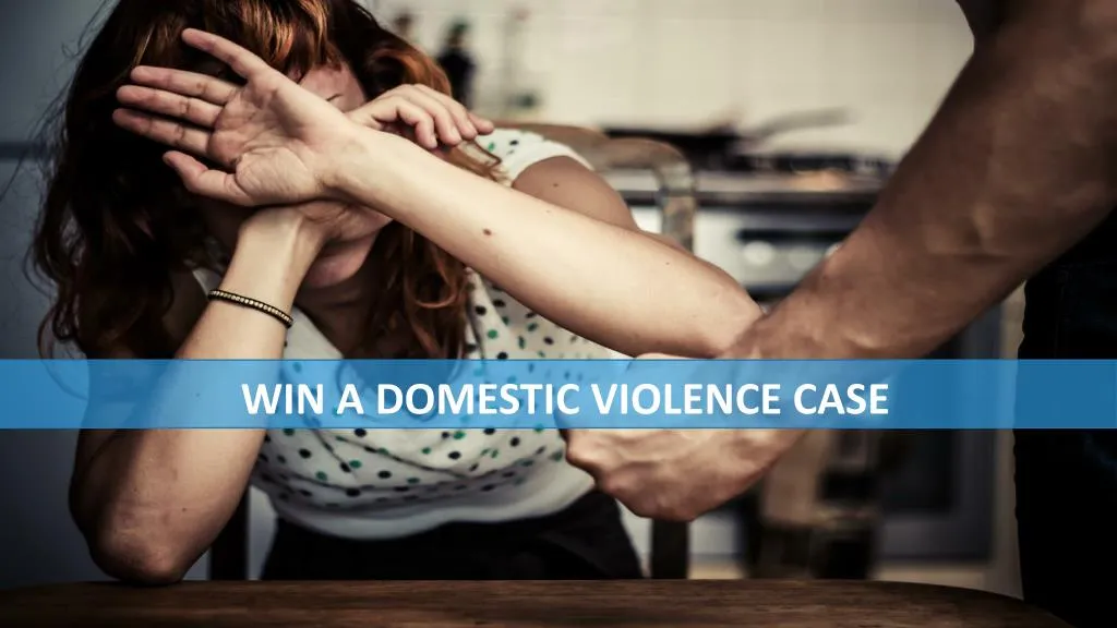 win a domestic violence case