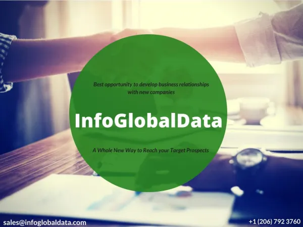 InfoGlobalData Email Marketing Lists