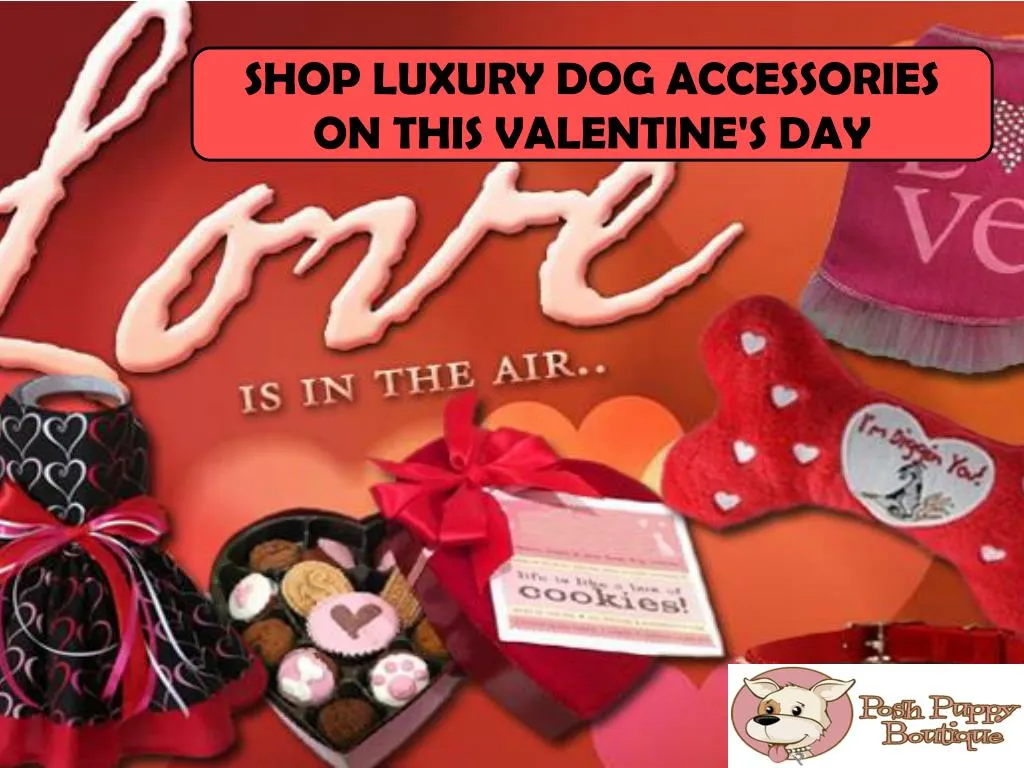 shop luxury dog accessories on this valentine