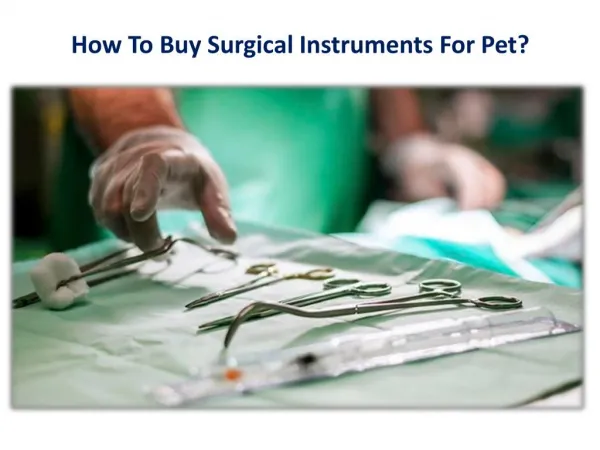 How To Buy Surgical Instruments For Pet?