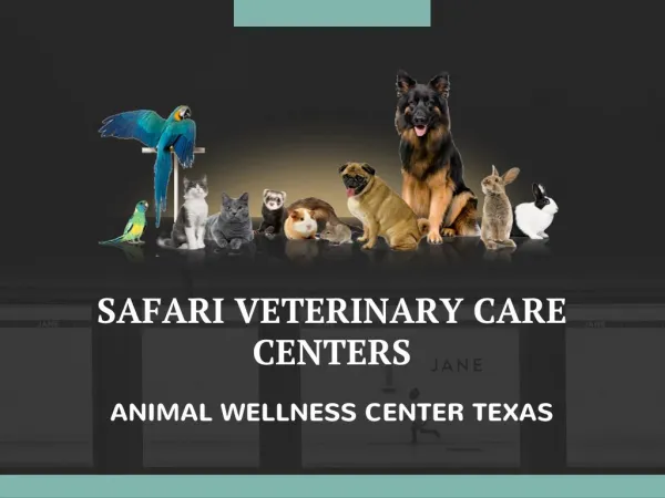 Animal Wellness Center Texas