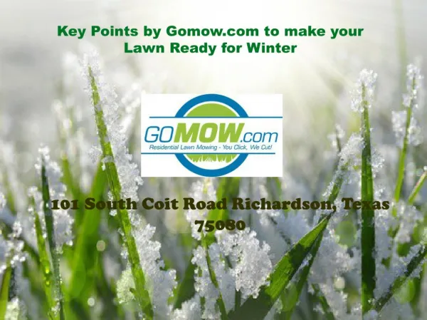 4 Key Points for Lawn Mowing during Winter Season