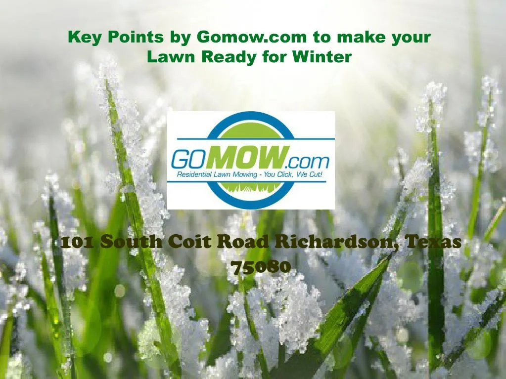 key points by gomow com to make your lawn ready