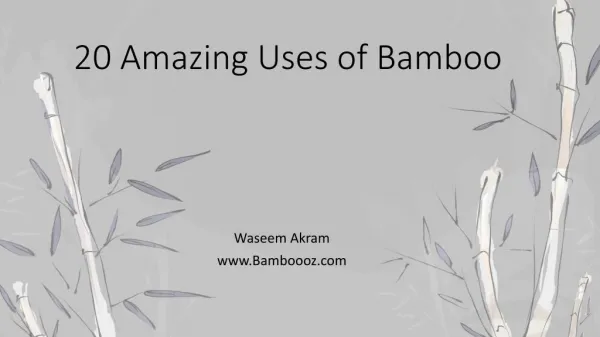 20 uses of Bamboo for You, your Home and Office