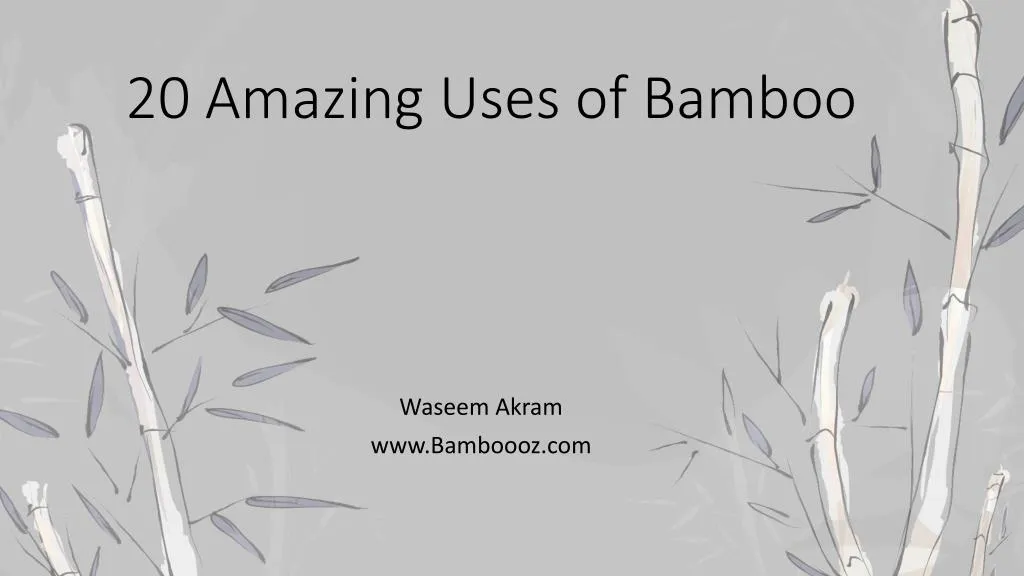 20 amazing uses of bamboo