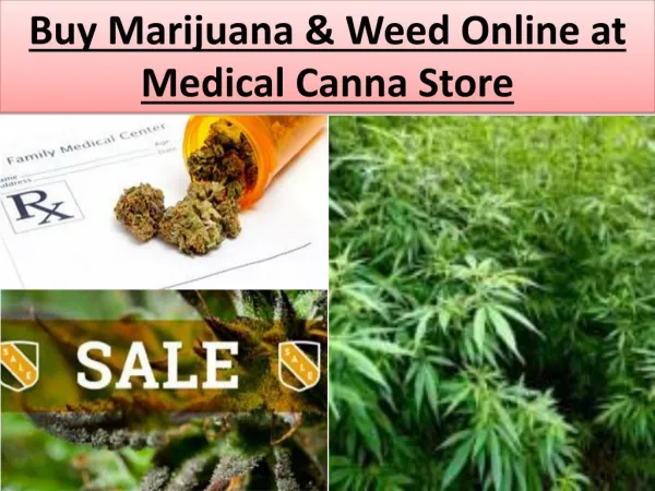 Buy Marijuana | Weed Online at Medical Canna Store