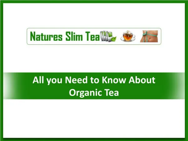 All you need to know about Organic Tea