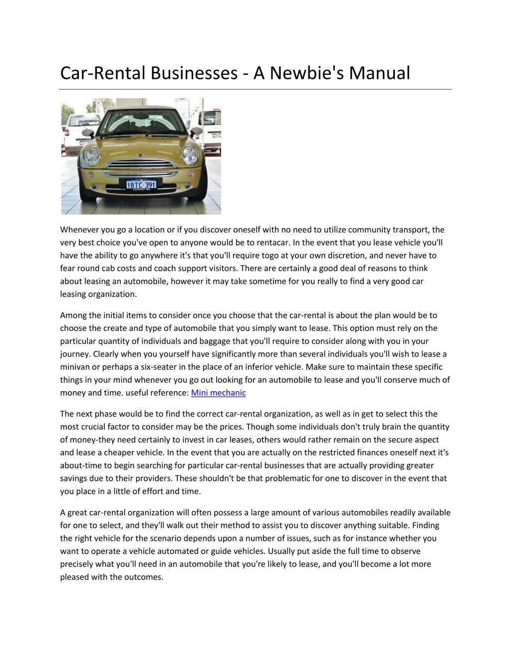 car rental businesses a newbie s manual