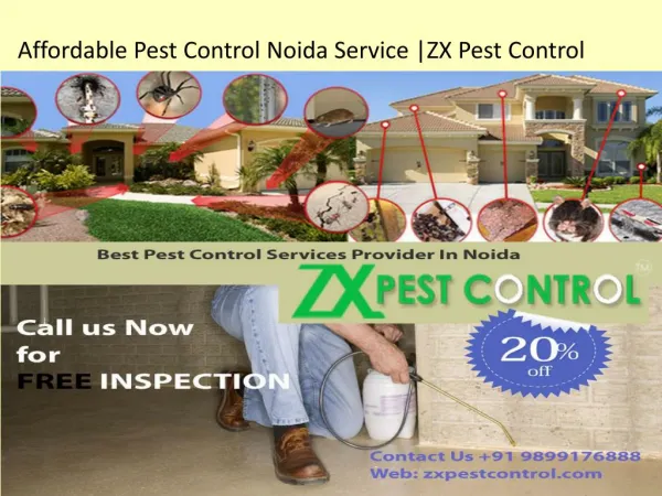 Affordable Pest Control Noida Service |ZX Pest Control