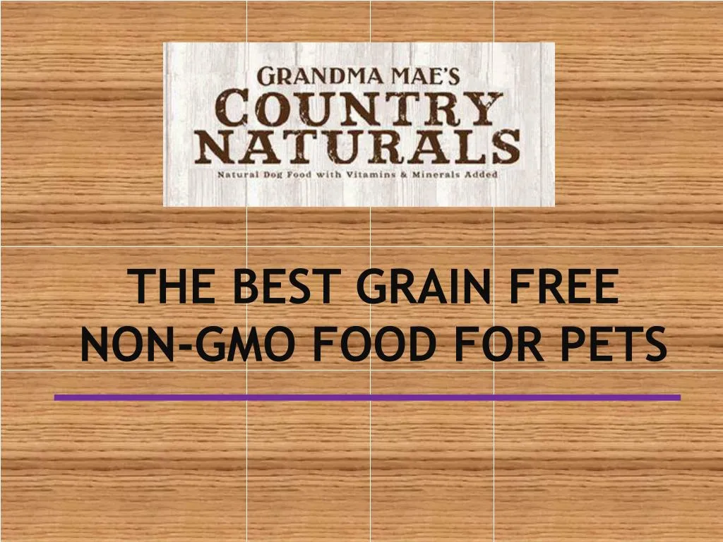 the best grain free non gmo food for pets