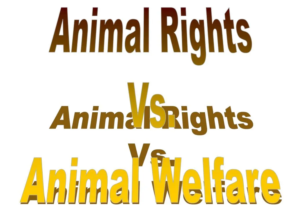 animal rights vs animal welfare