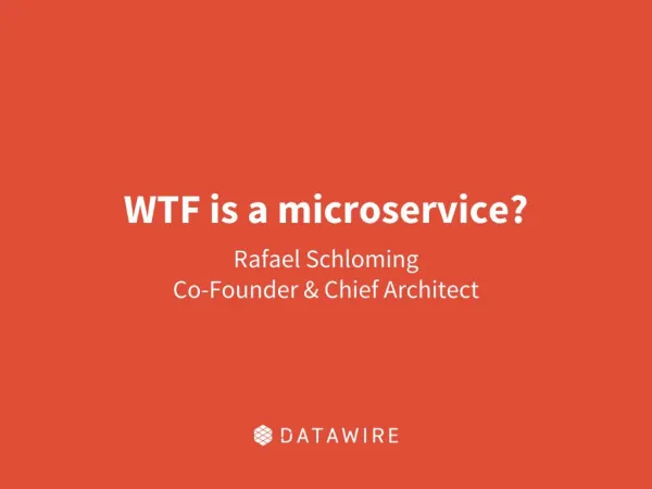 WTF is a Microservice - Rafael Schloming, Datawire