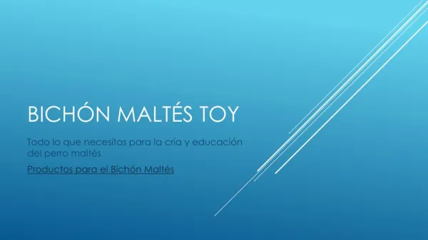 Productos para el Bichon Maltes