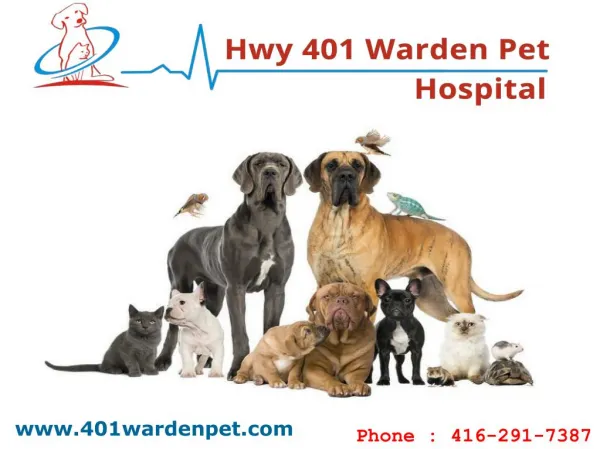 Animal Hospital In Scarborough | Hwy 401 Warden Pet Hospital