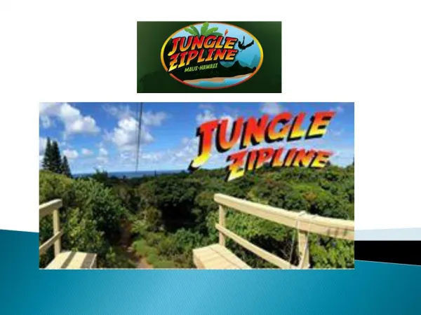 Maui Zipline Activities - Jungle Zip