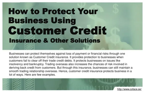 Protect business using customer credit insurance and other solutions.