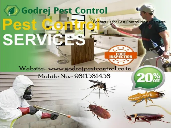 For Pest Control Faridabad Treatment Call 9811381458