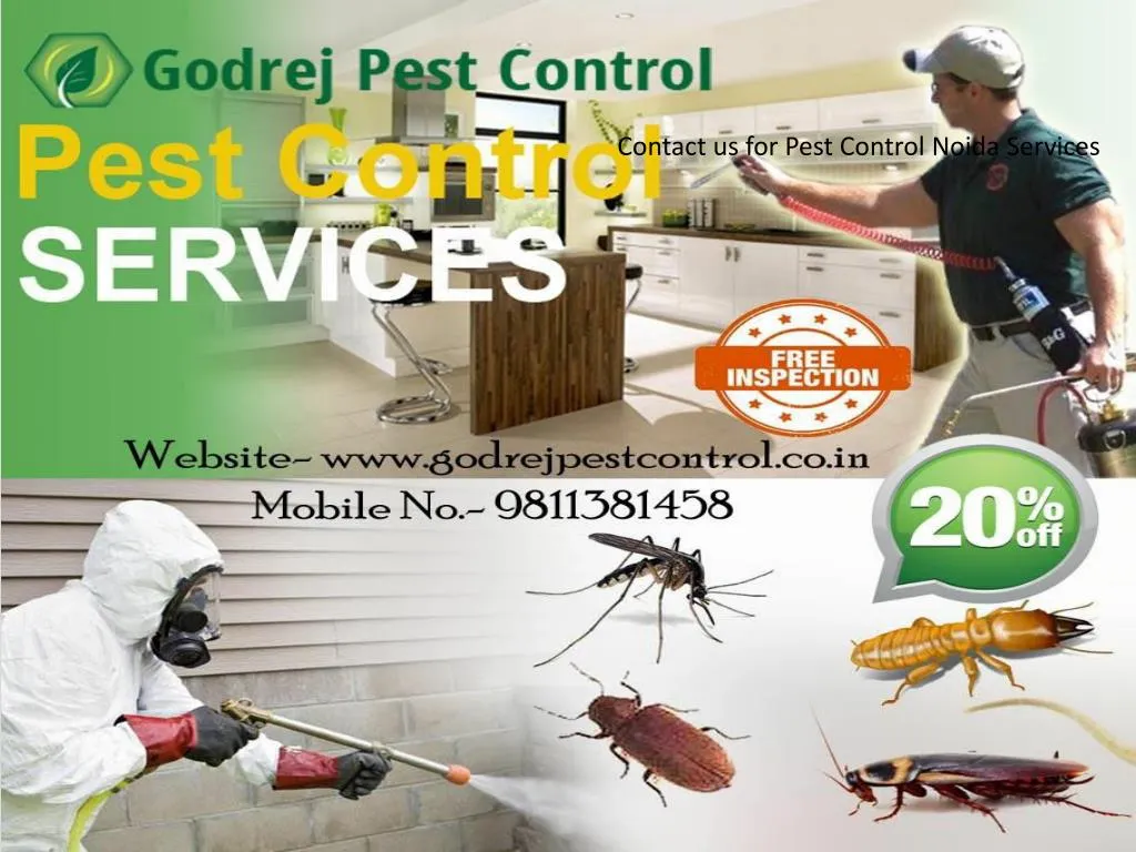 contact us for pest control noida services