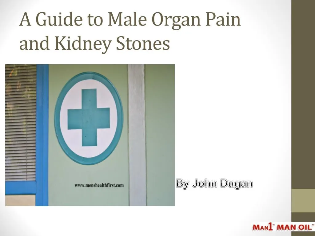a guide to male organ pain and kidney stones