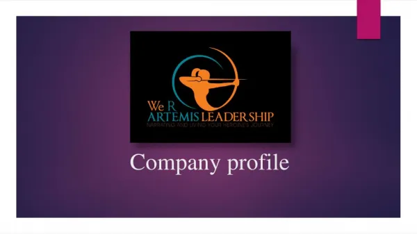 We R Artimis Company profile