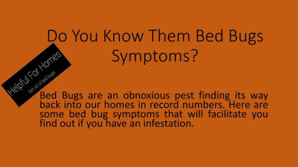 Bed Bug Symptoms