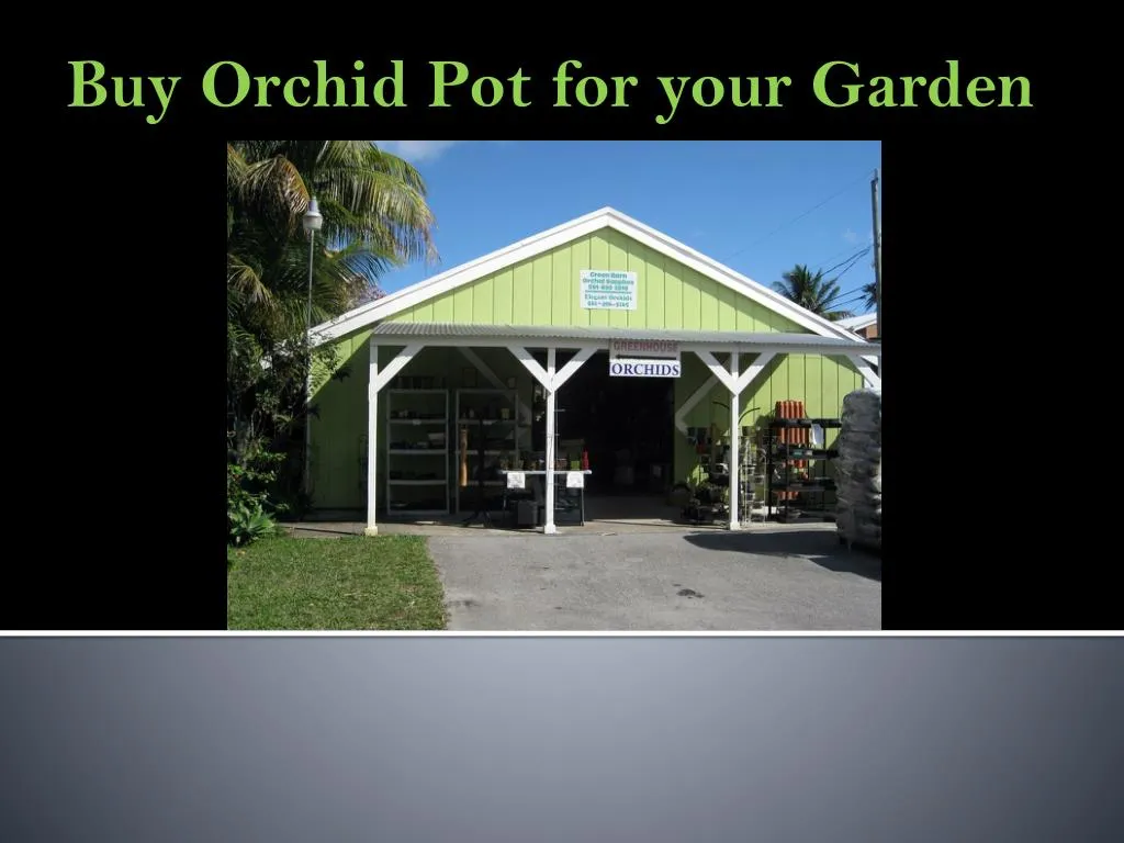 buy orchid pot for your garden