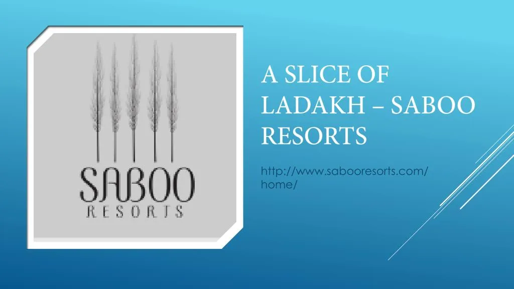 a slice of ladakh saboo resorts