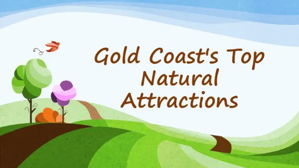 Gold Coast's Top Natural Attractions