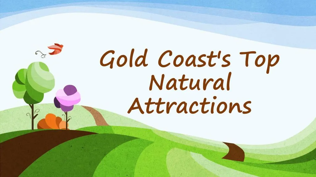 gold coast s top natural attractions