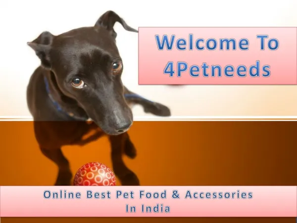 Buy dog toys online india | 4petneeds