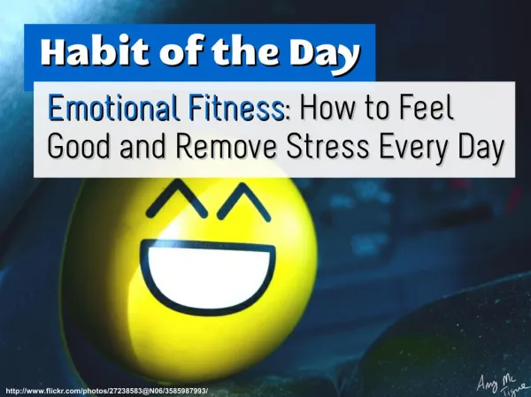 Emotional Fitness: How to Feel Good and Remove Stress Every Day (Habit of the Day)