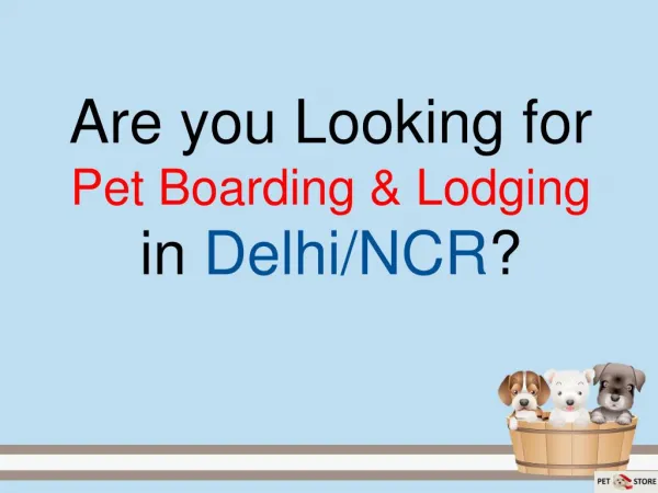 Pet Boarding & Lodging in Delhi, India