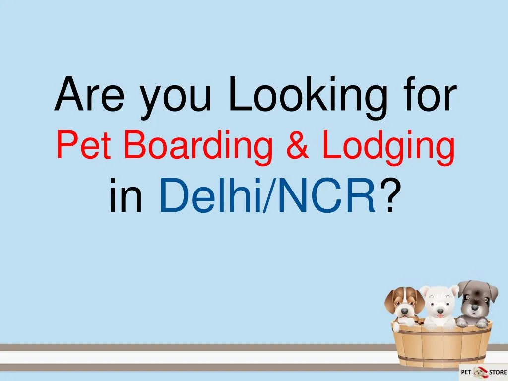 are you looking for pet boarding lodging in delhi