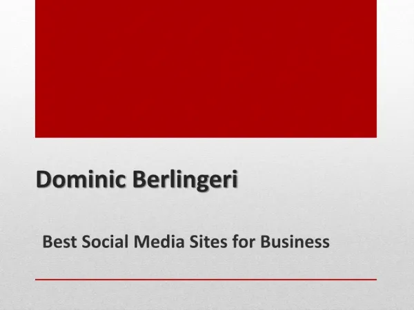 Dominic Berlingeri - Best Social Media Sites for Business