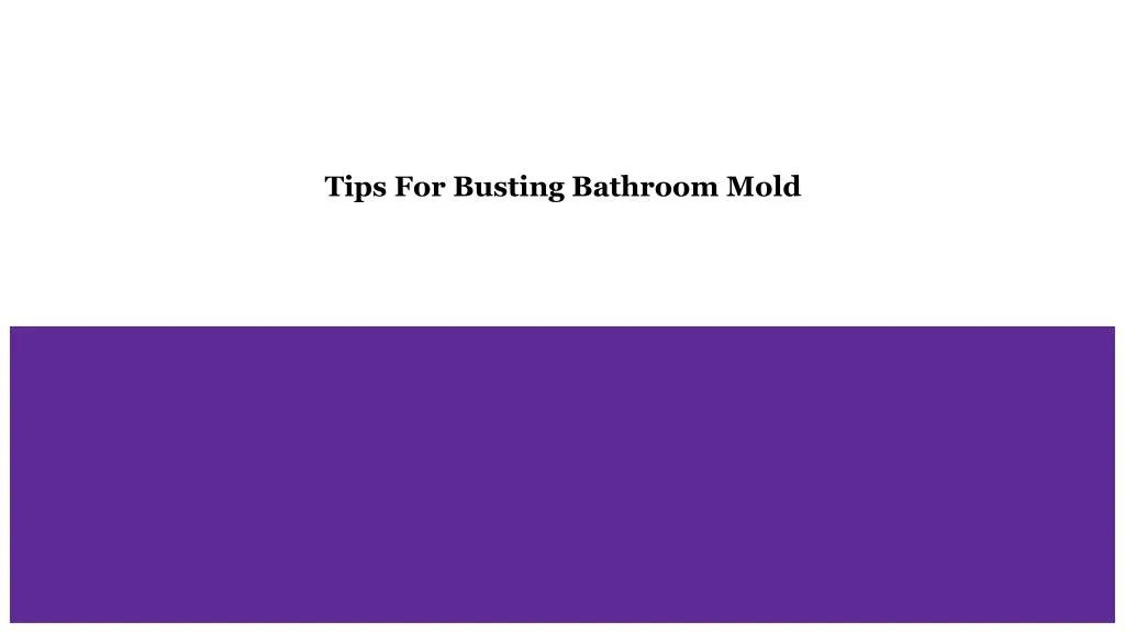 tips for busting bathroom mold