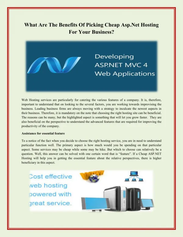 What Are The Benefits Of Picking Cheap Asp.Net Hosting For Your Business?