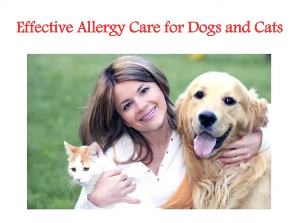 Allergy Treatment For Cats and Dogs From TruCare Pharmacy