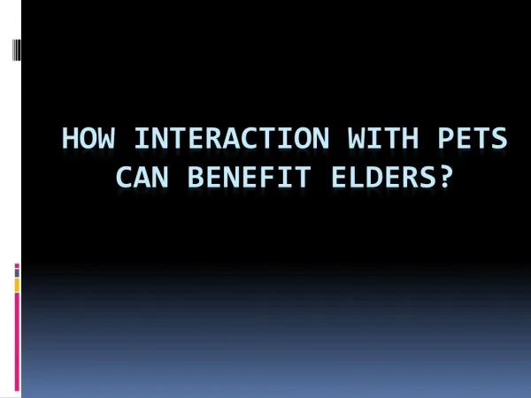How Interaction with Pets Can Benefit Elders?