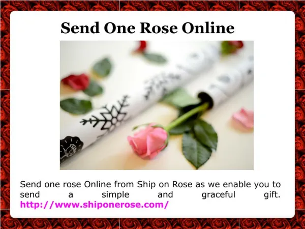 Single Rose Delivery