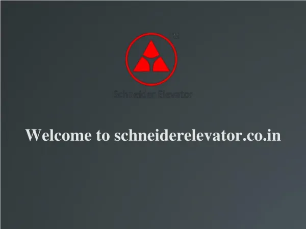 Schneider Elevator PPT Presentation