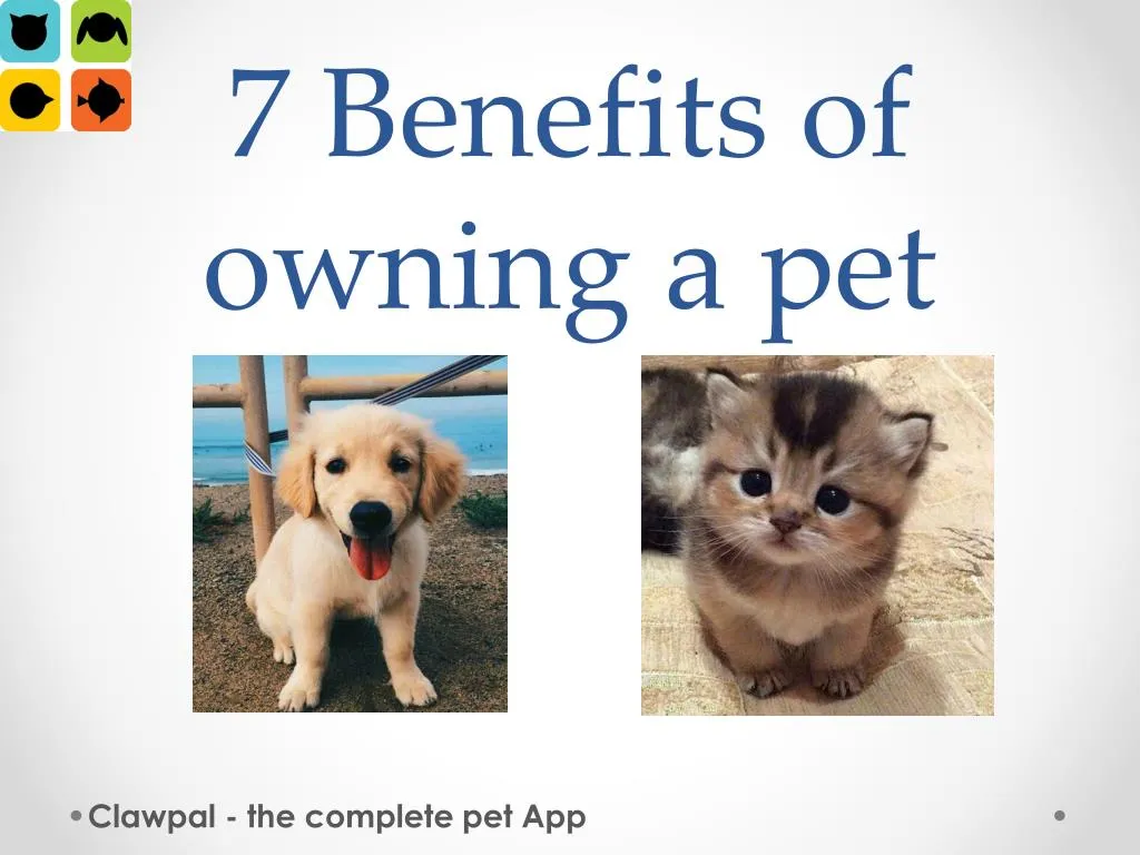 7 benefits of owning a pet
