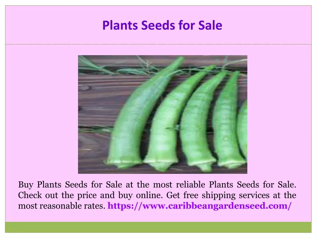 plants seeds for sale