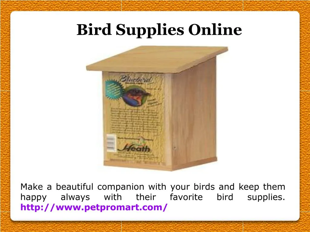 bird supplies online