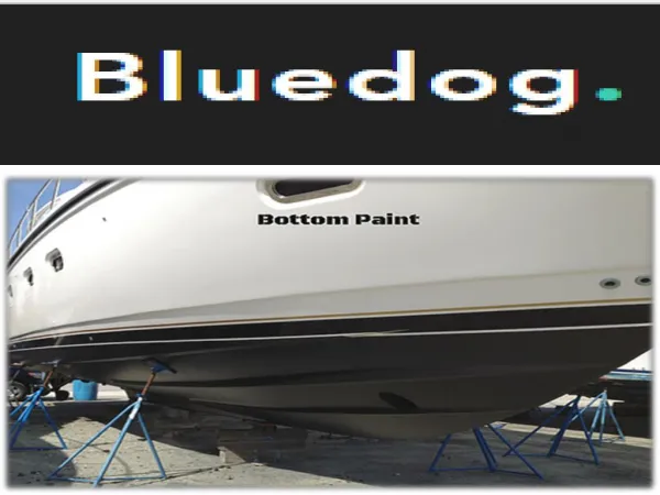 Our Best Bottom Paint Removal Service